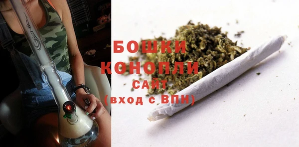 индика Абдулино